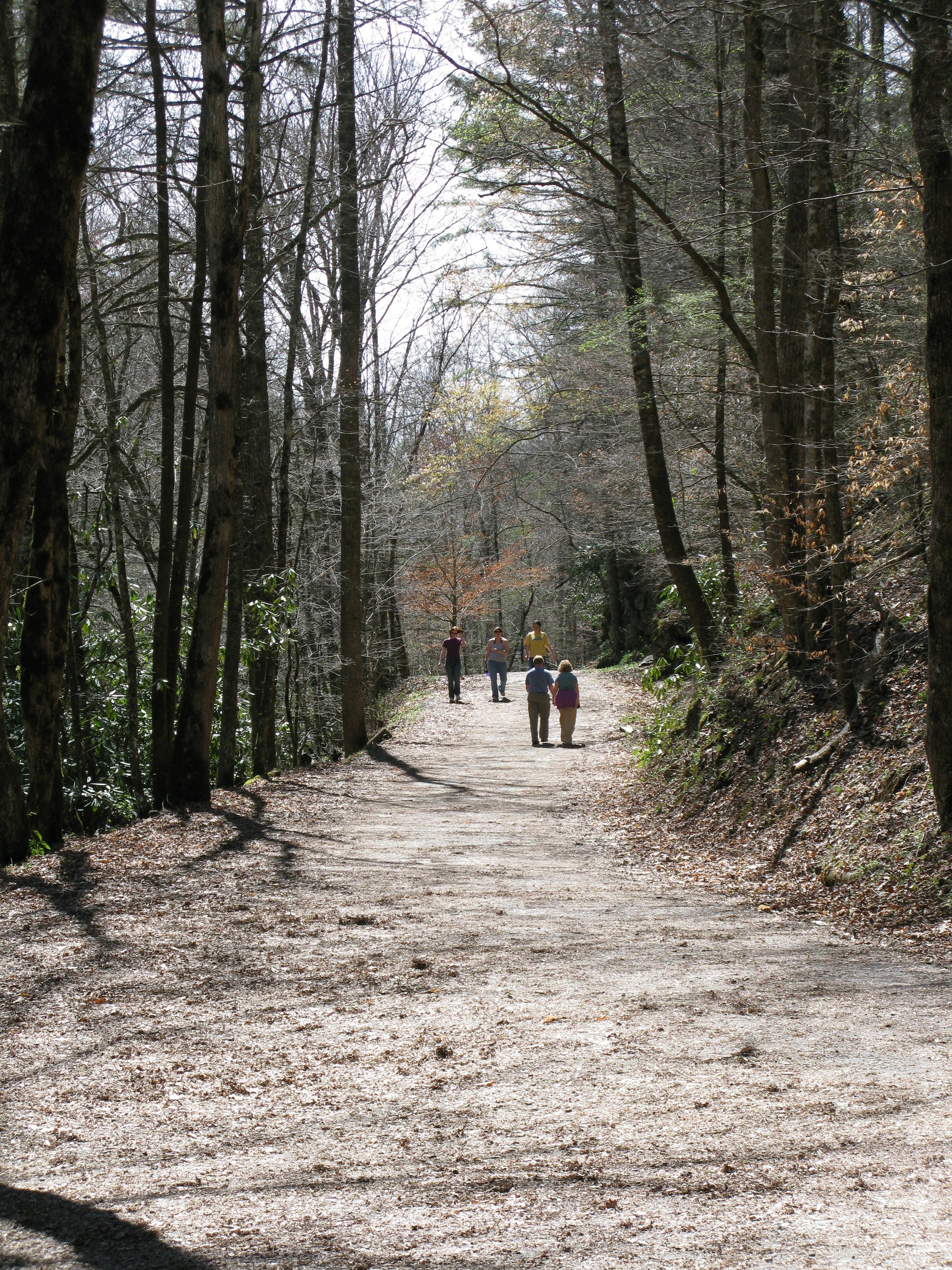 Hiking Adventure