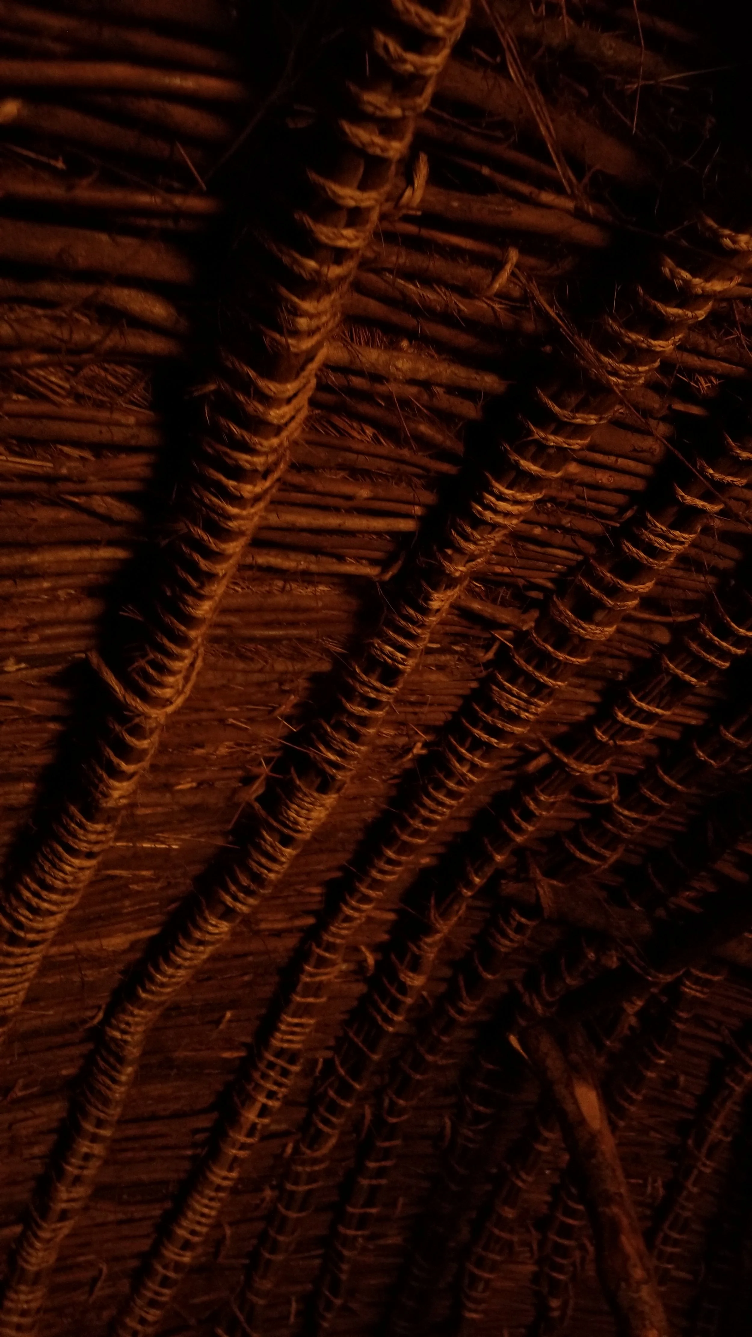 20231103_121910.jpg