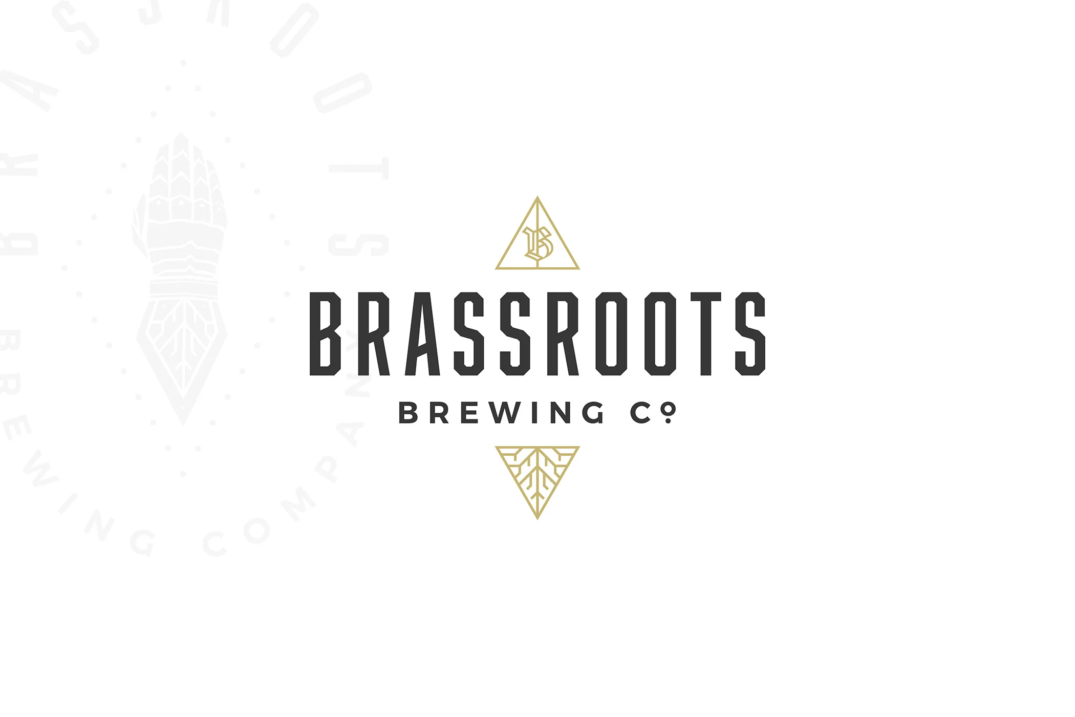 Image 1_Brassroots Brewing Co.jpg