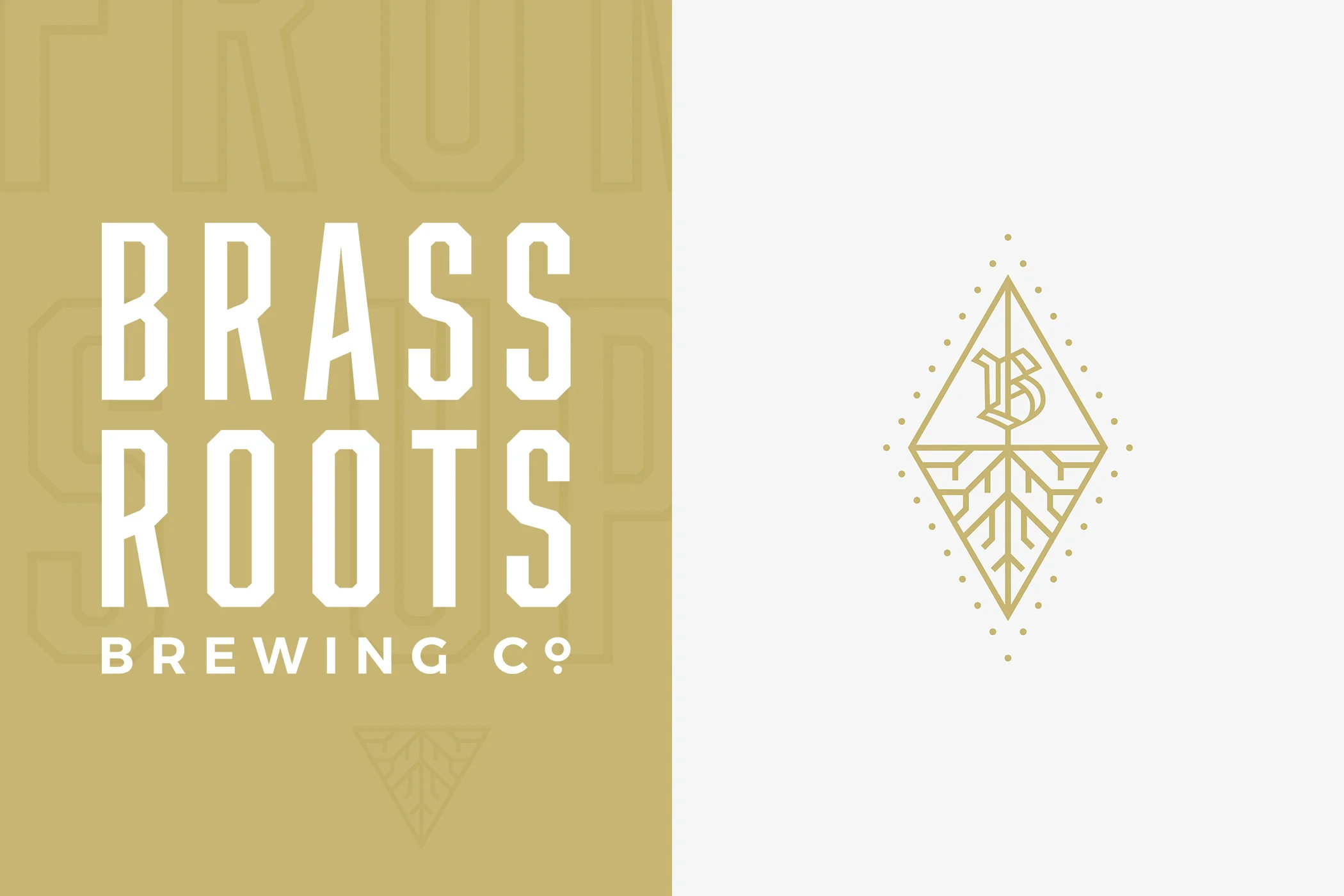 Image 3_Brassroots Brewing Co.jpg