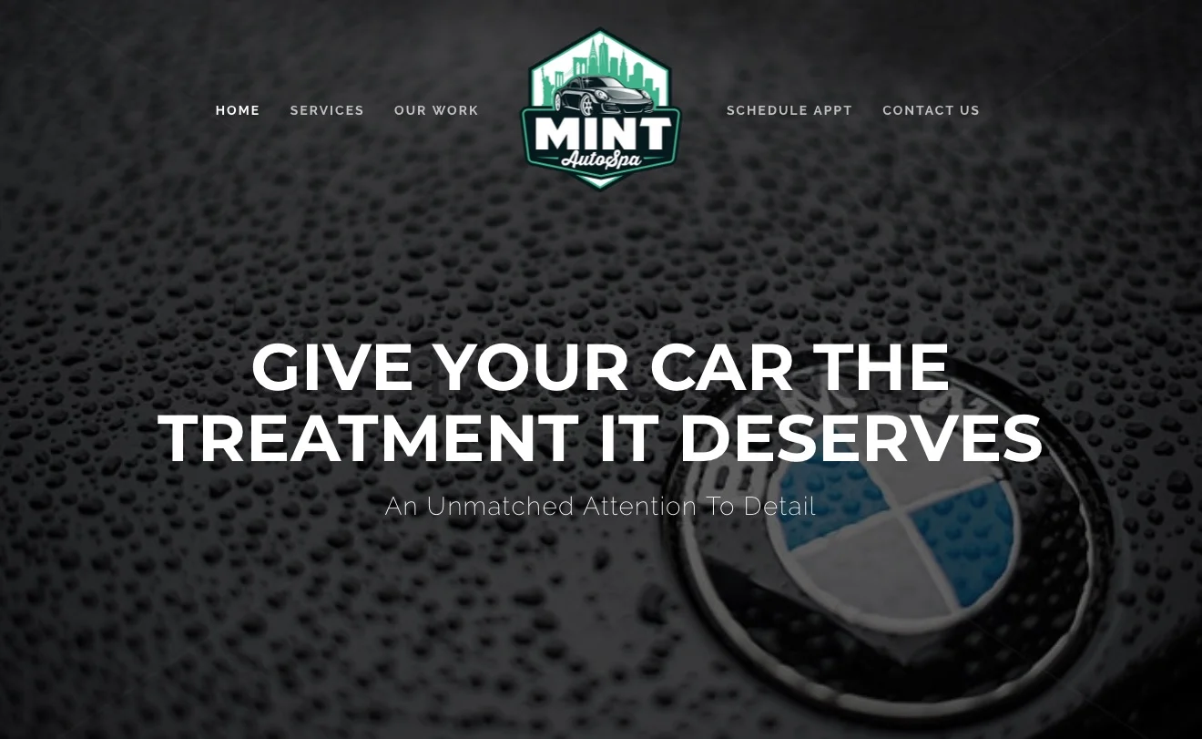 mint-auto-spa-nj-project.jpg