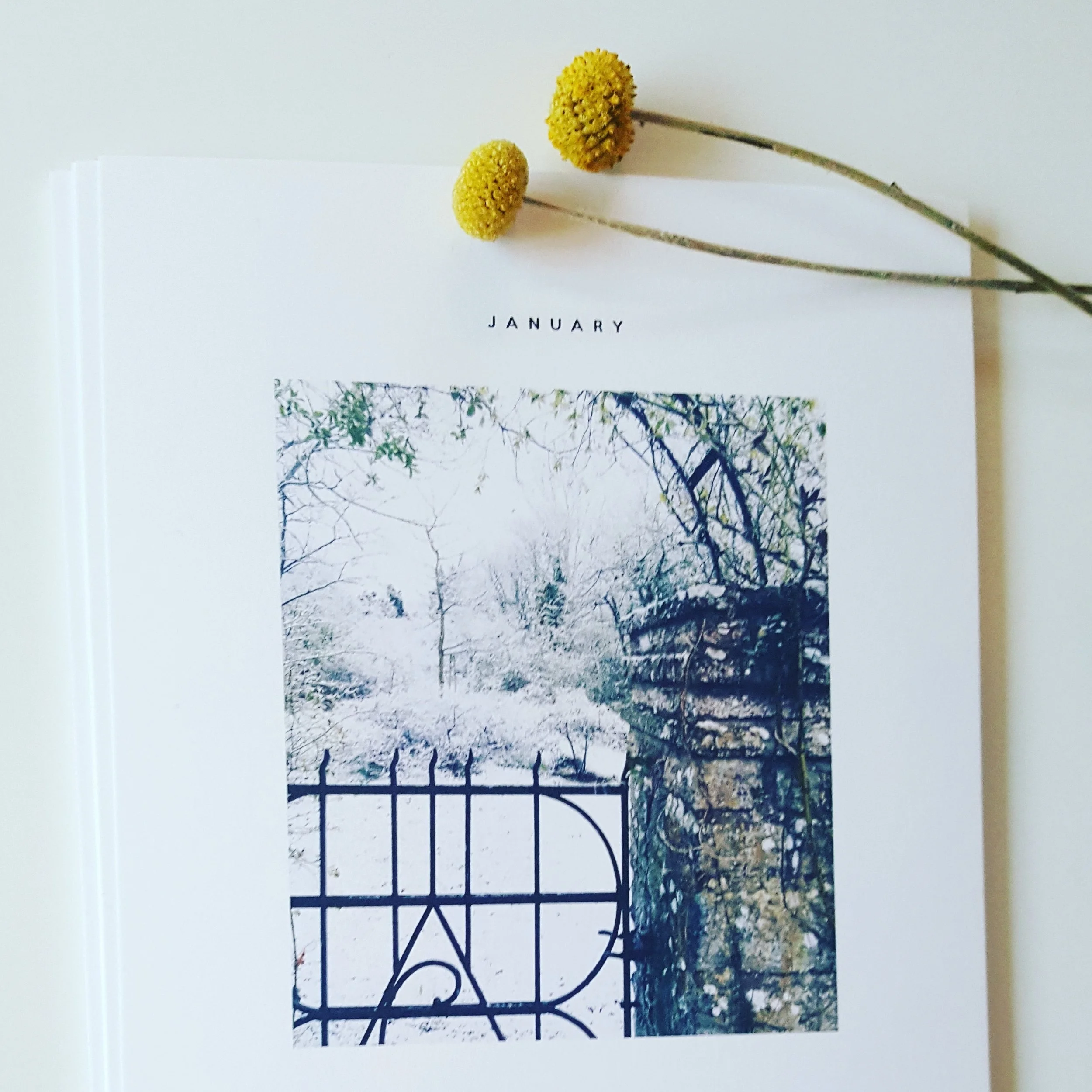  Therapy | CBT - Evidenced based treatment for common mental health problems