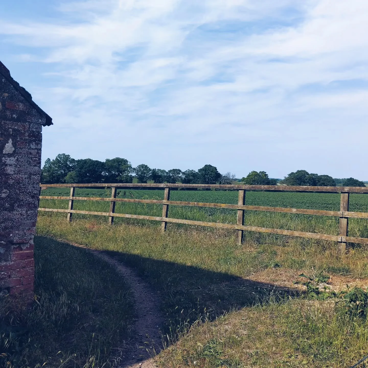 Give me a good field over the beach any day 😜  Check out this view over North Norfolk. The barn opens both sides for full field goodness. It's the most serene and happy little equine yard ever! @bbcradio4
Deemed Walshingham the holiest place in the 