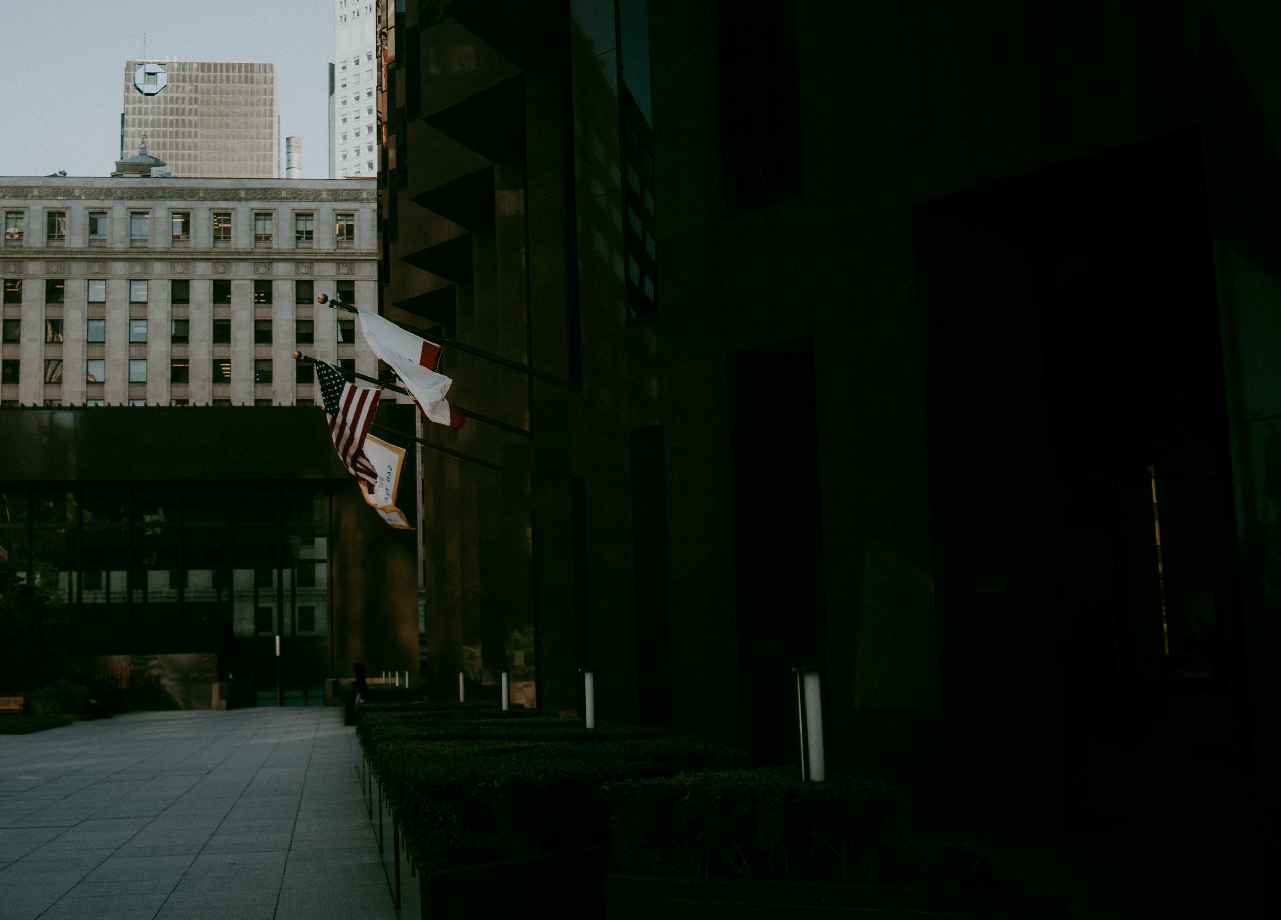 DSC02560.jpg