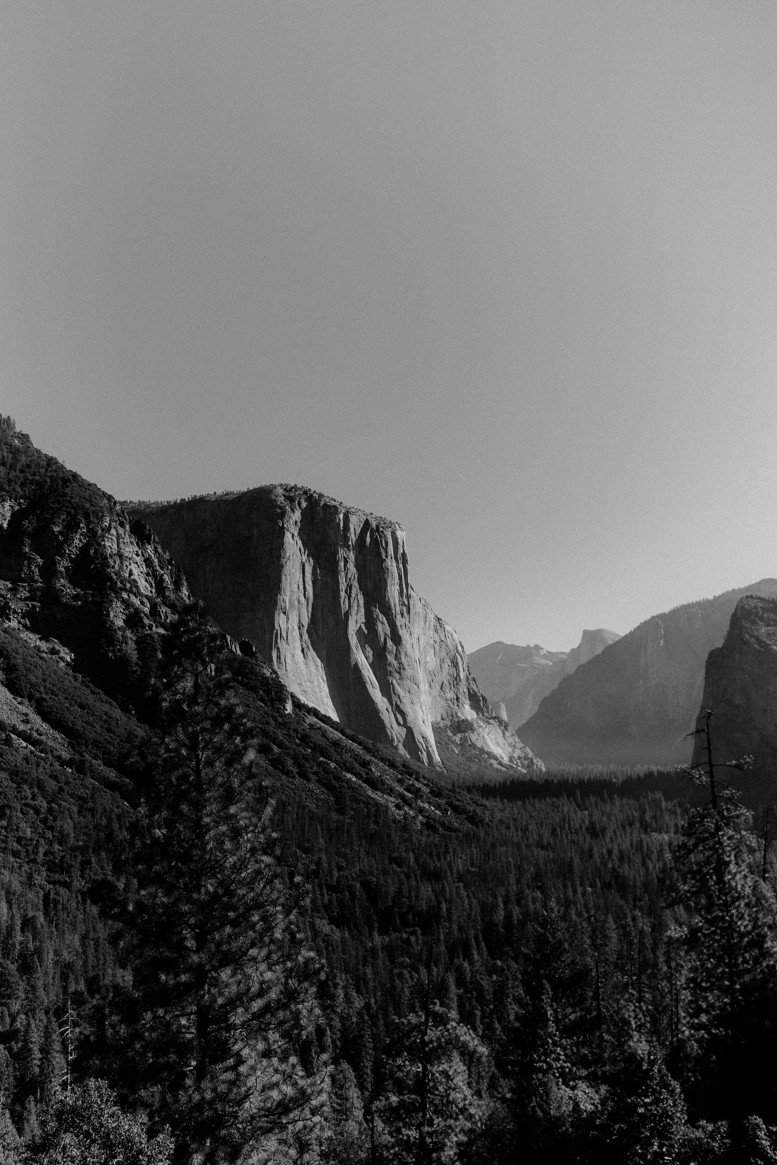 DSC04120 - Copy.jpg
