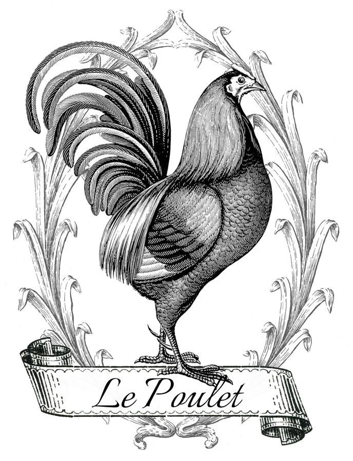 Chicken-Grain-Sack-Vintage-GraphicsFairy-DIYsm_1.jpg