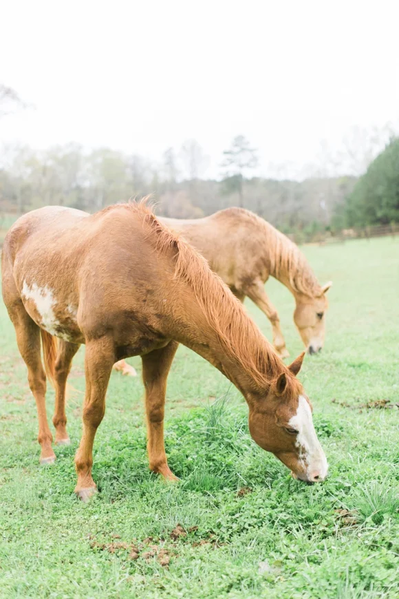 Kathryn McCrary Photography_0001.jpg