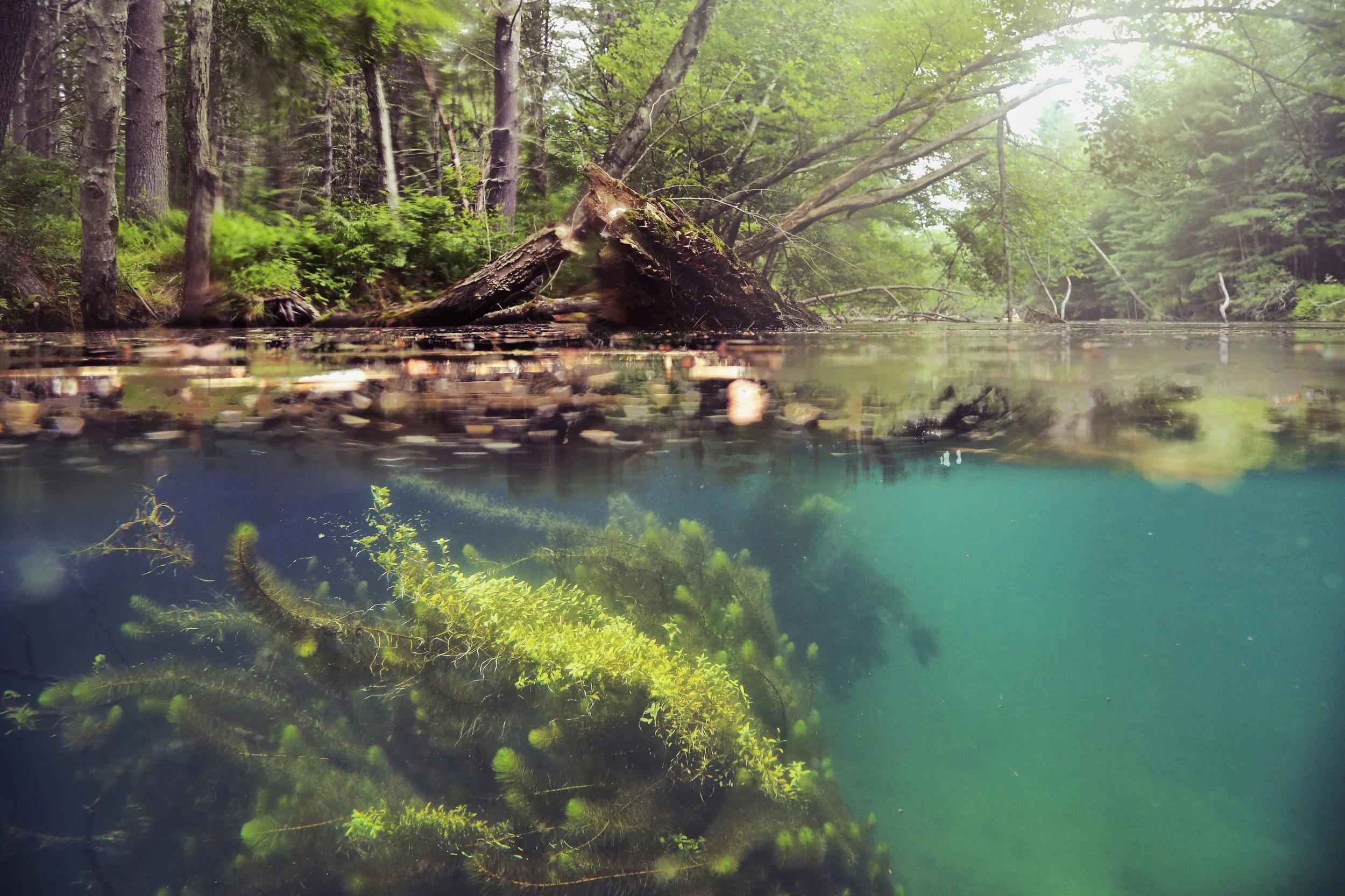 SWIFT RIVER UNDER OVER 1.jpg