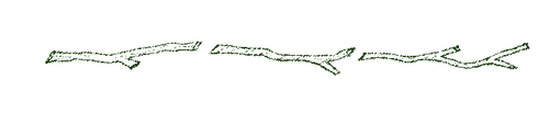 twig divider.png