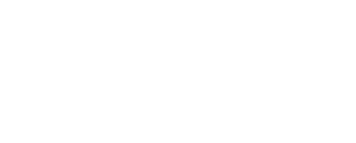 reverse nyc transparent Logo.png