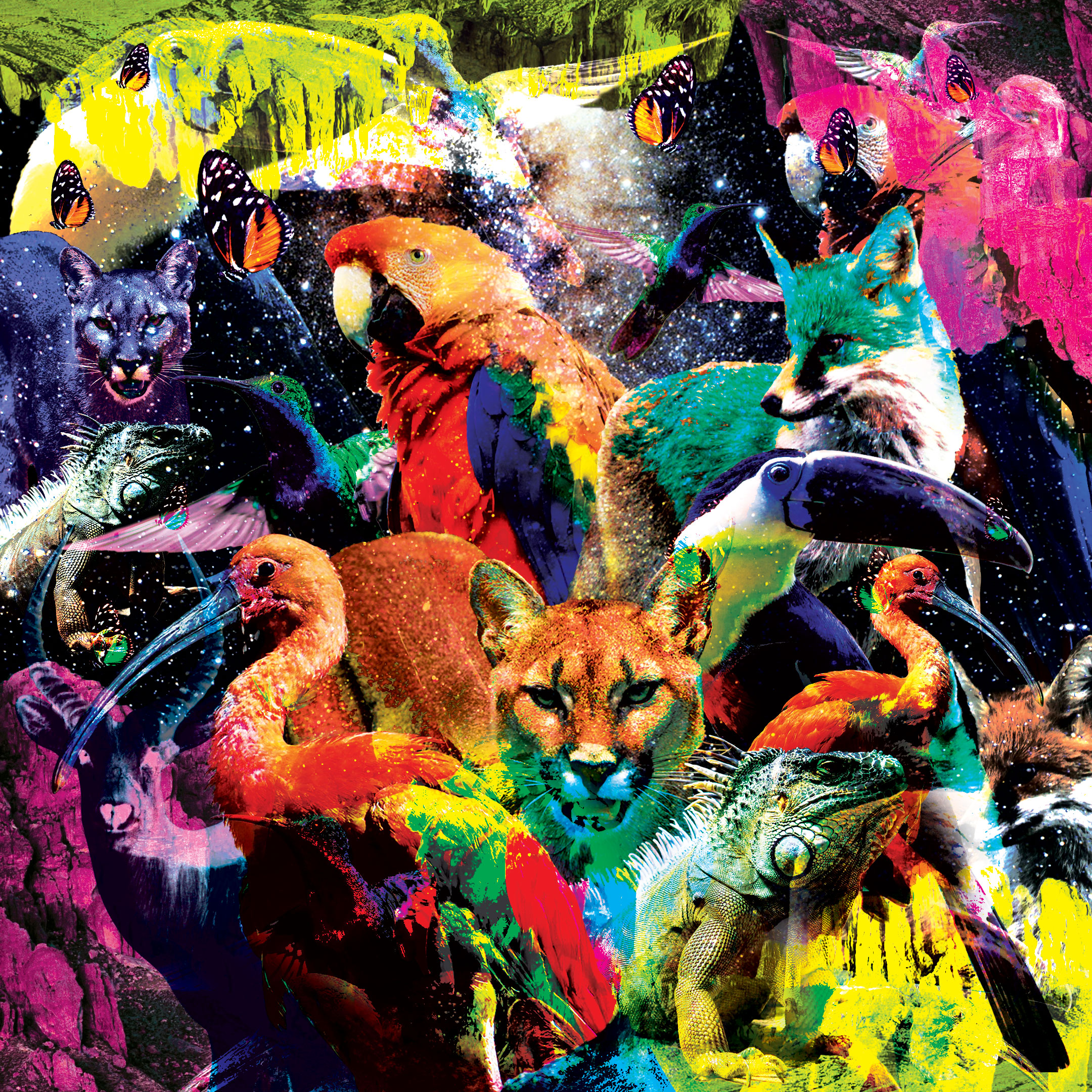 Animal-space2.jpg