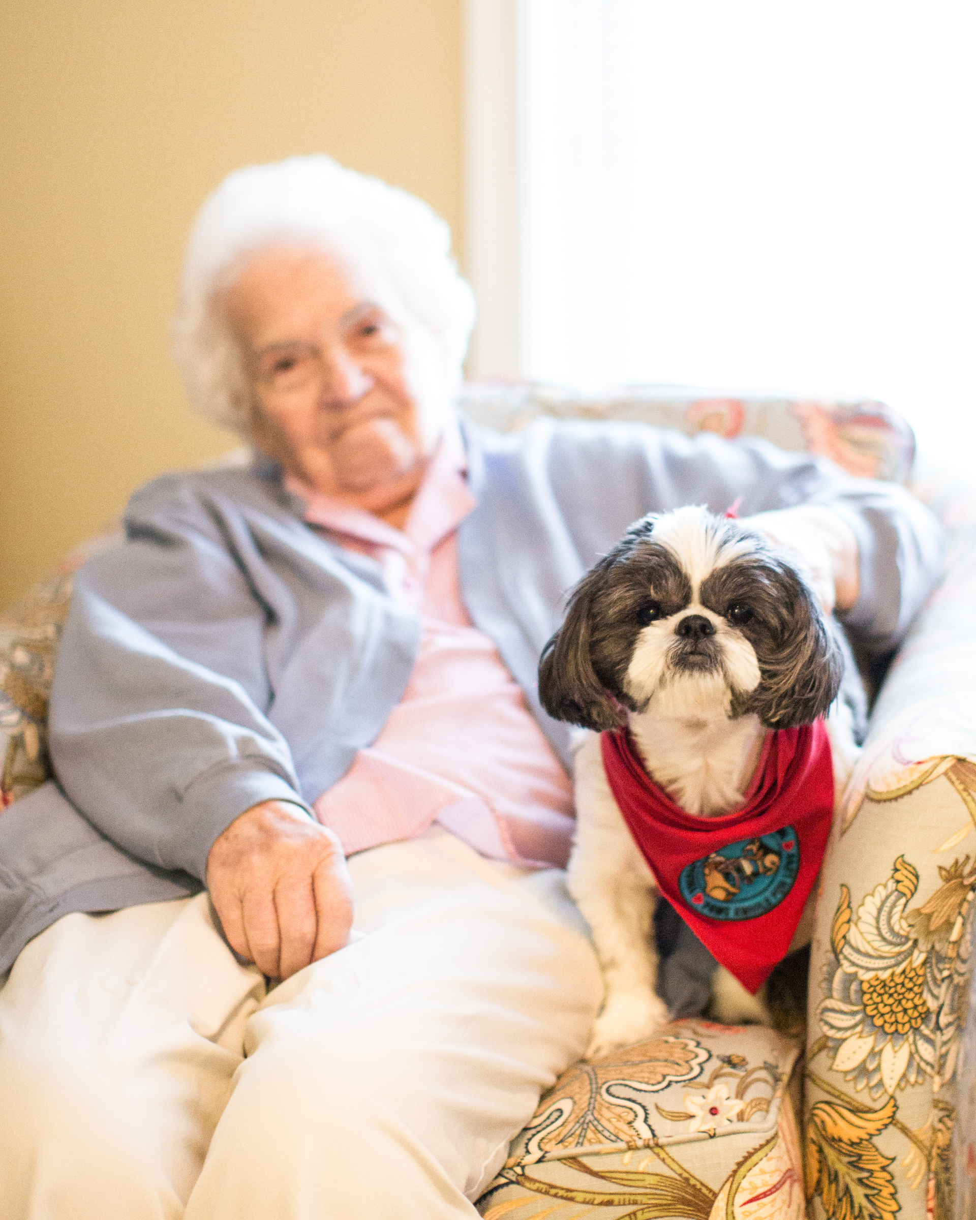 Zoey.TherapyDog.ShenandoahPlace.1.29.2018-3.jpg