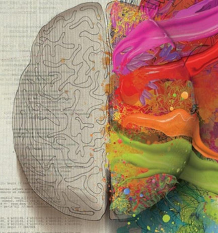 Why Neuroscience and Business?
