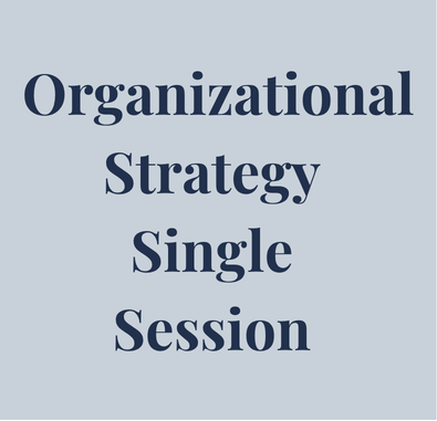 Organizational Strategy Single Session