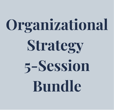 Organizational Strategy 5-Session Bundle