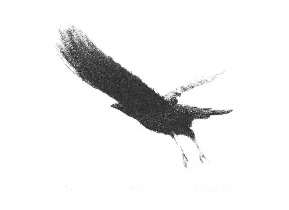 Flying Lithograph 31.6 x 40cm