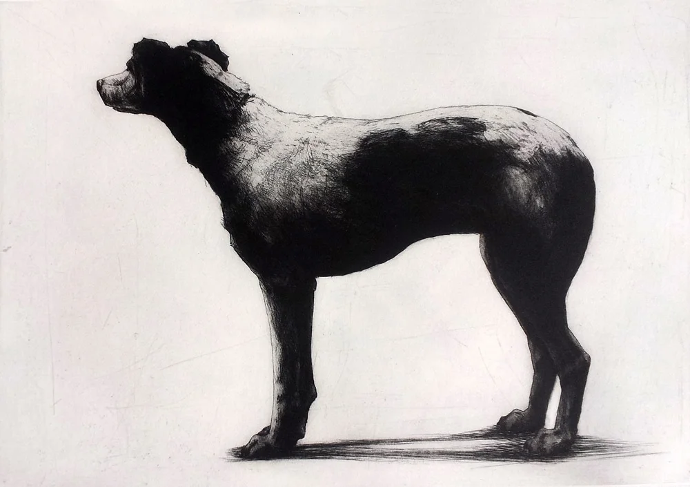 Ruby, 38cm x 53cm, £355.jpg