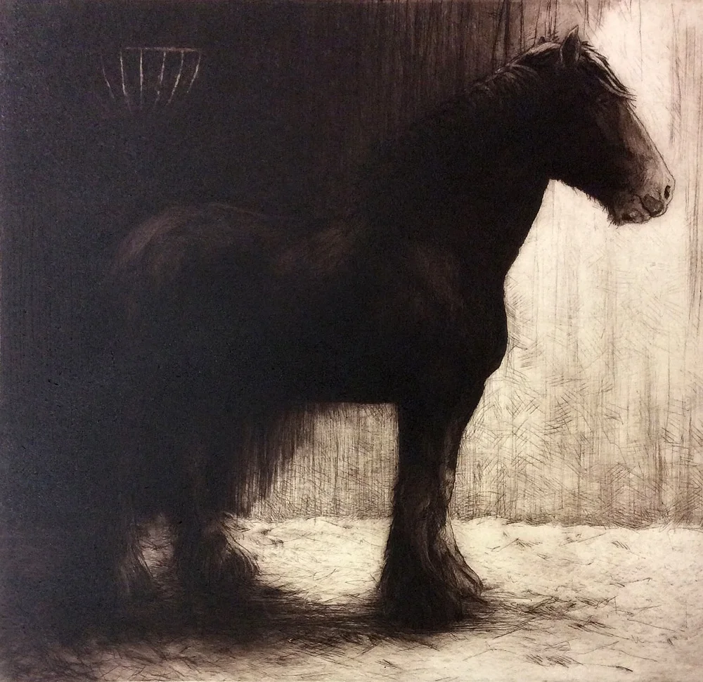 Scott, 40.5cm x42.5, £345.jpg