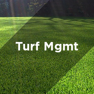 turf management services