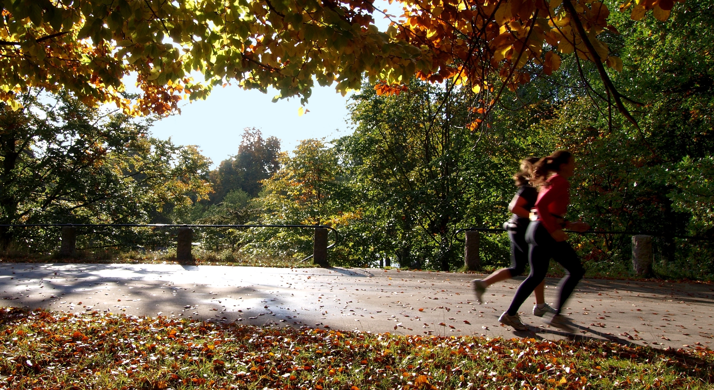 running-1350172.jpg