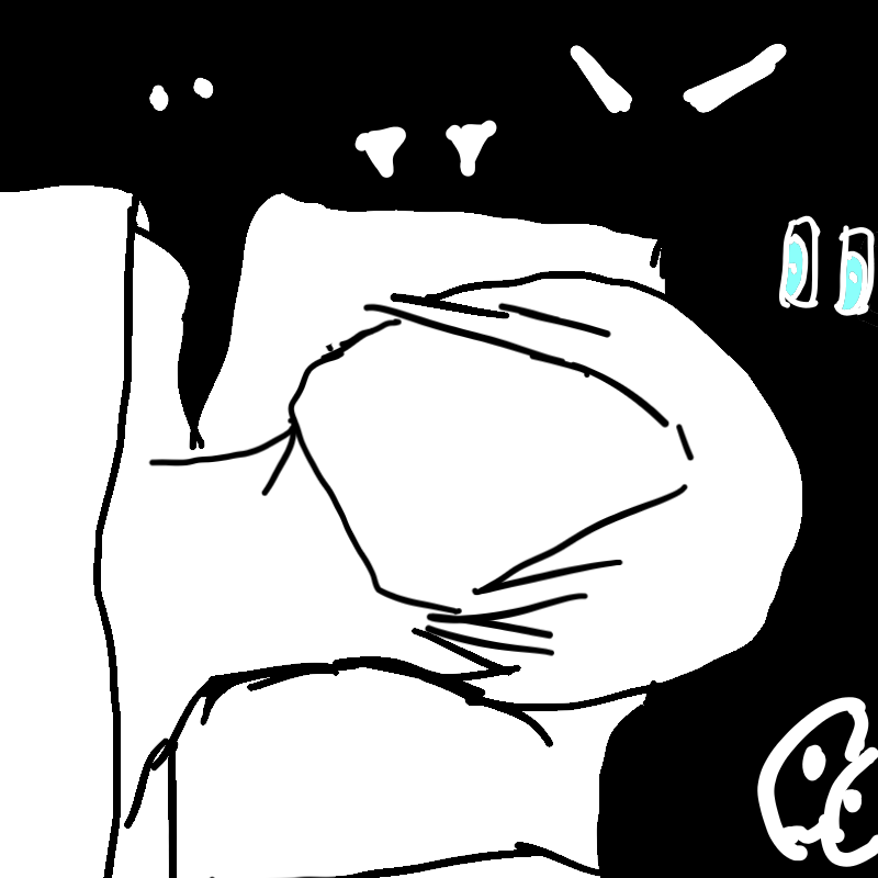 BED 1.png