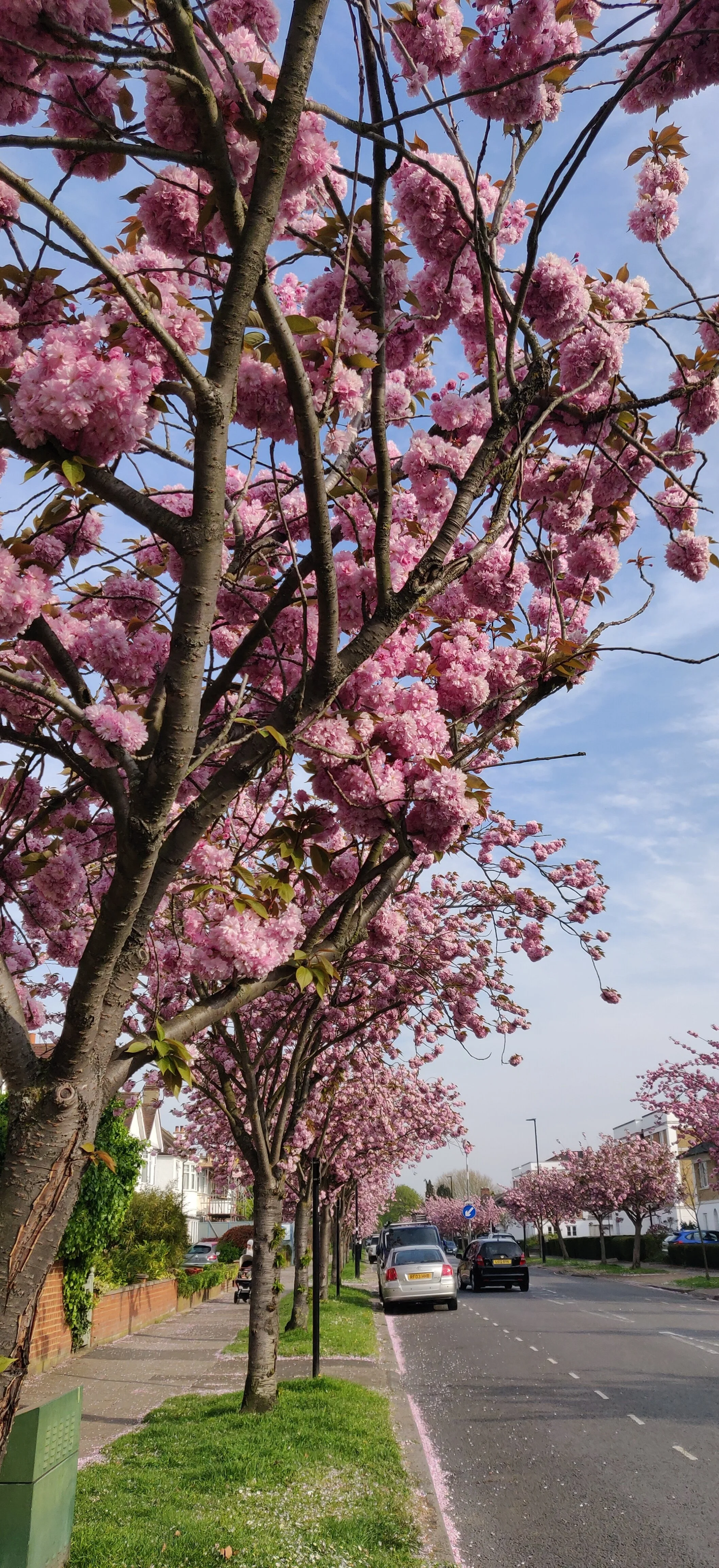 Saying "I love you"
