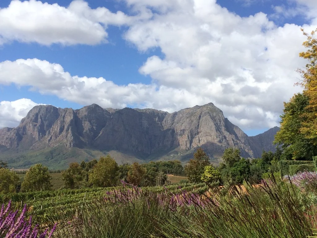 Stellenbosh