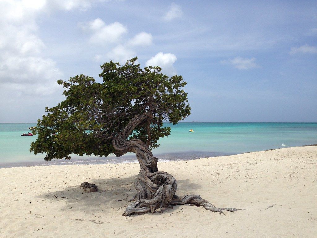 Eagle Beach, Aruba.
