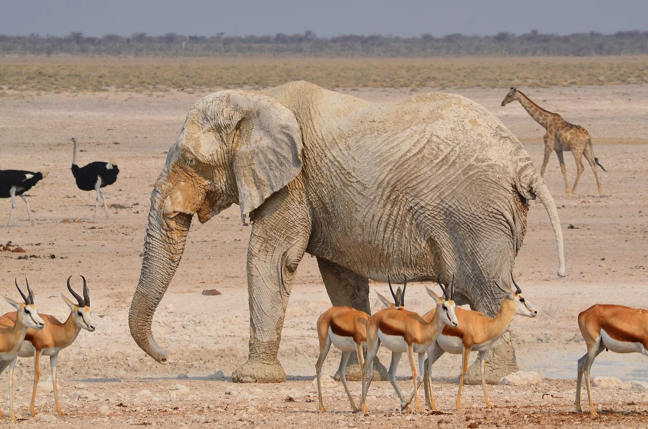 namibia14.jpg