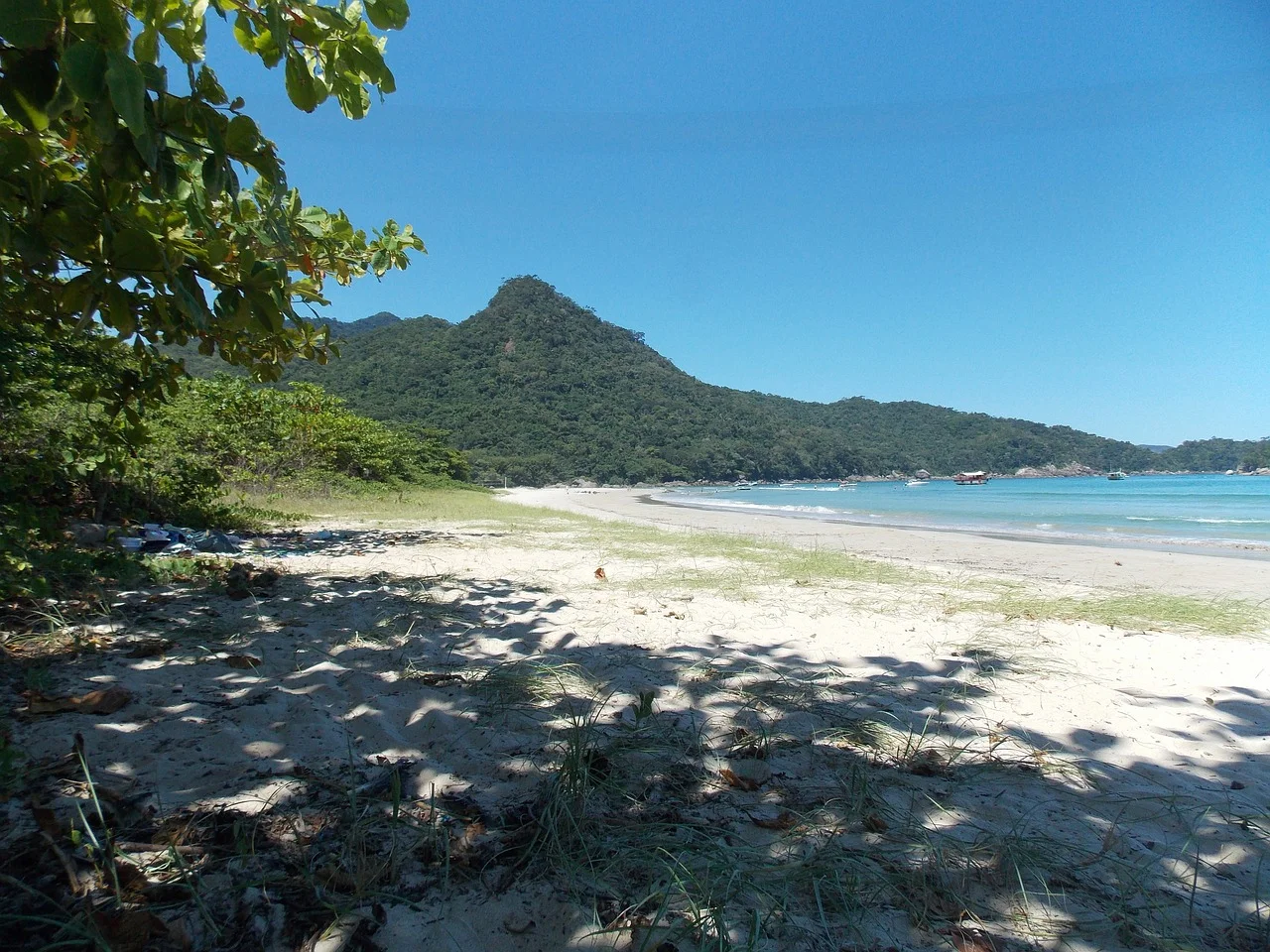 ilhagrande1.jpg