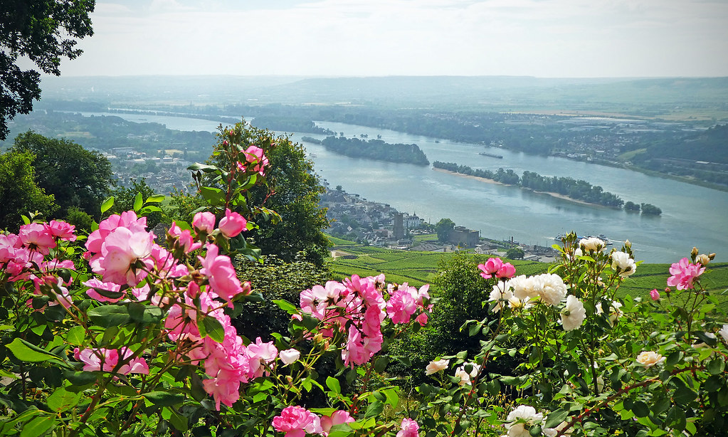 Rüdesheim am Rhein, Alemanha.