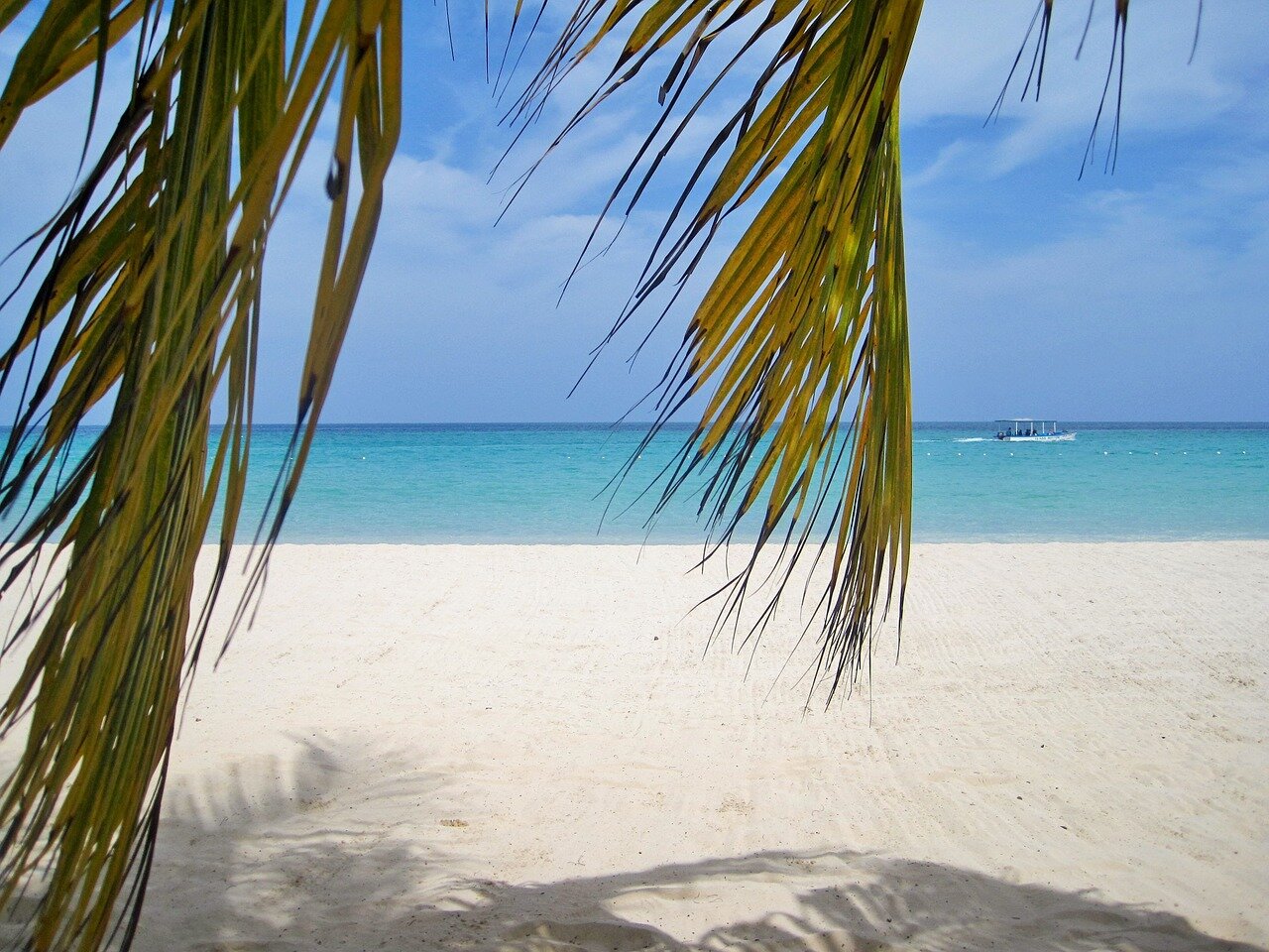 jamaica4.jpg