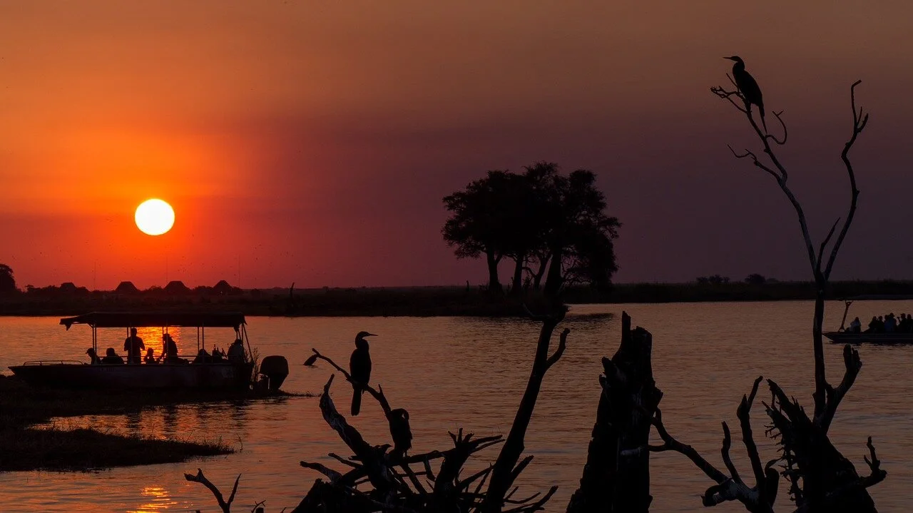 chobe5.jpg