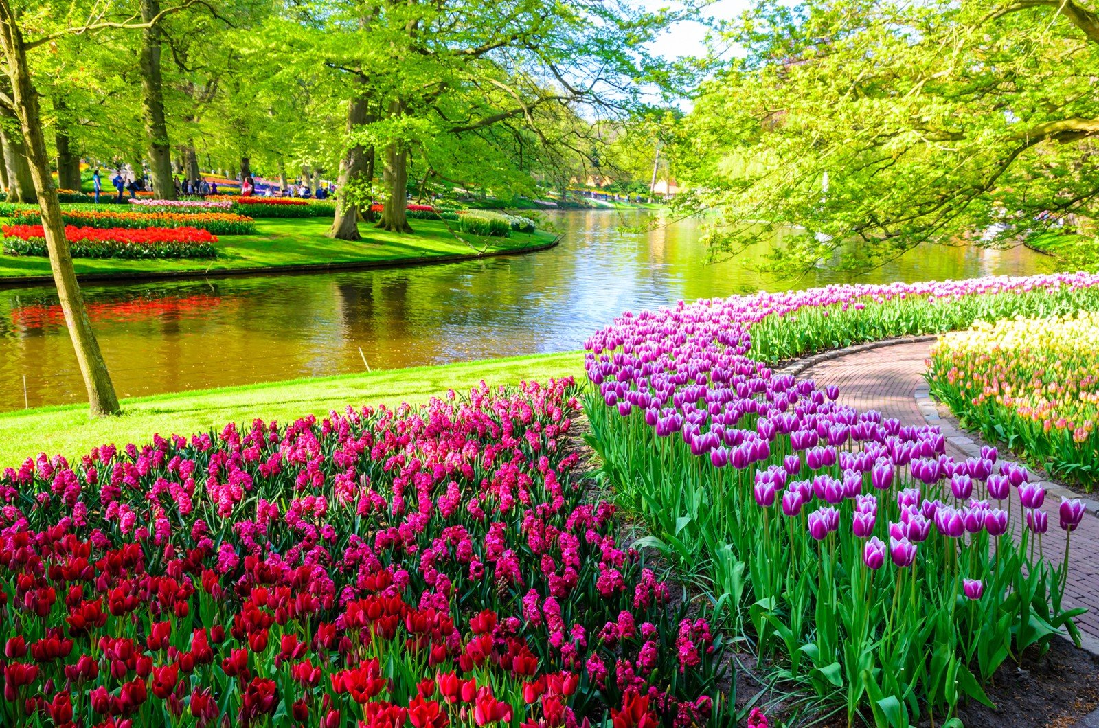 gardens-keukenhof-hd.jpg