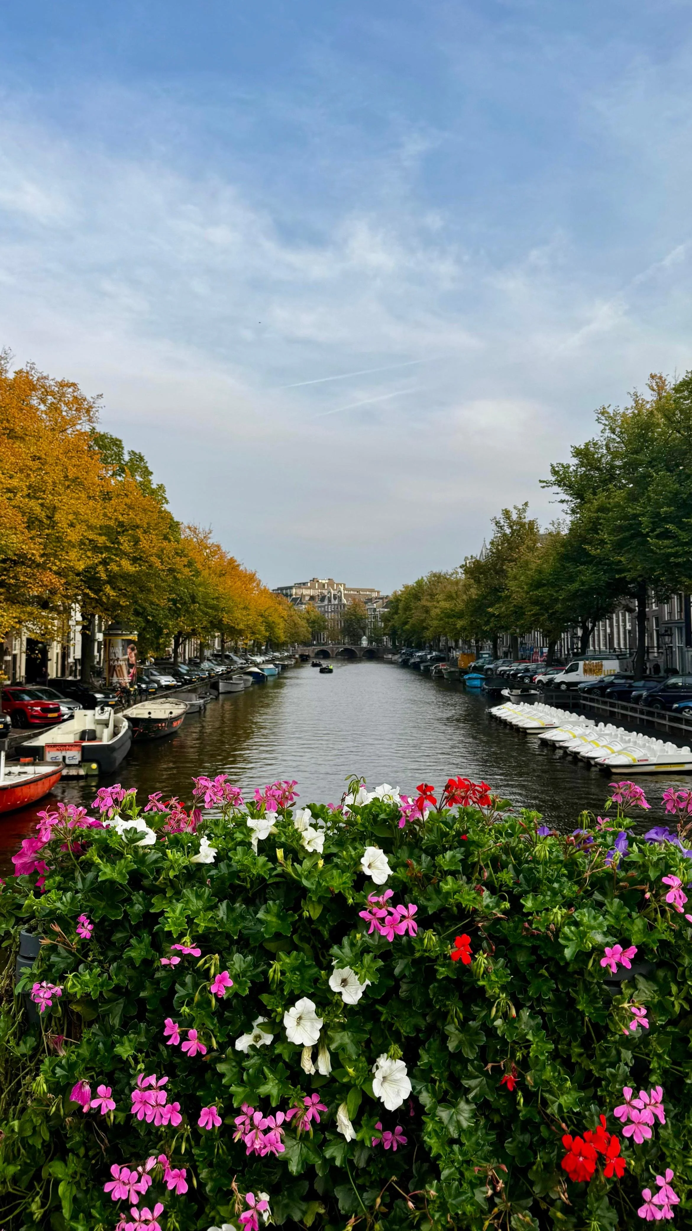 WhatsApp Image 2025-09-22 at 09.40.48 (2).jpeg