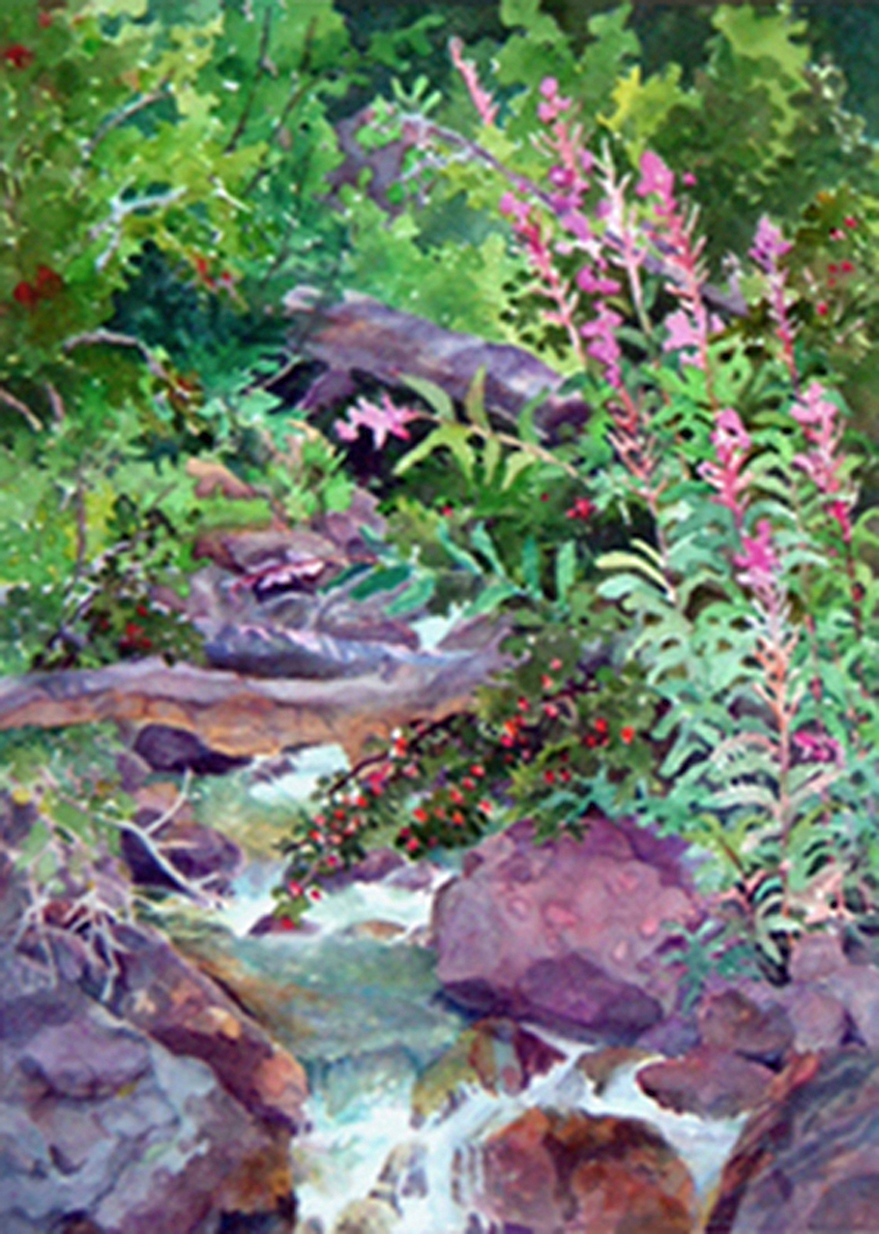 Spanish Creek Fireweed600.jpg