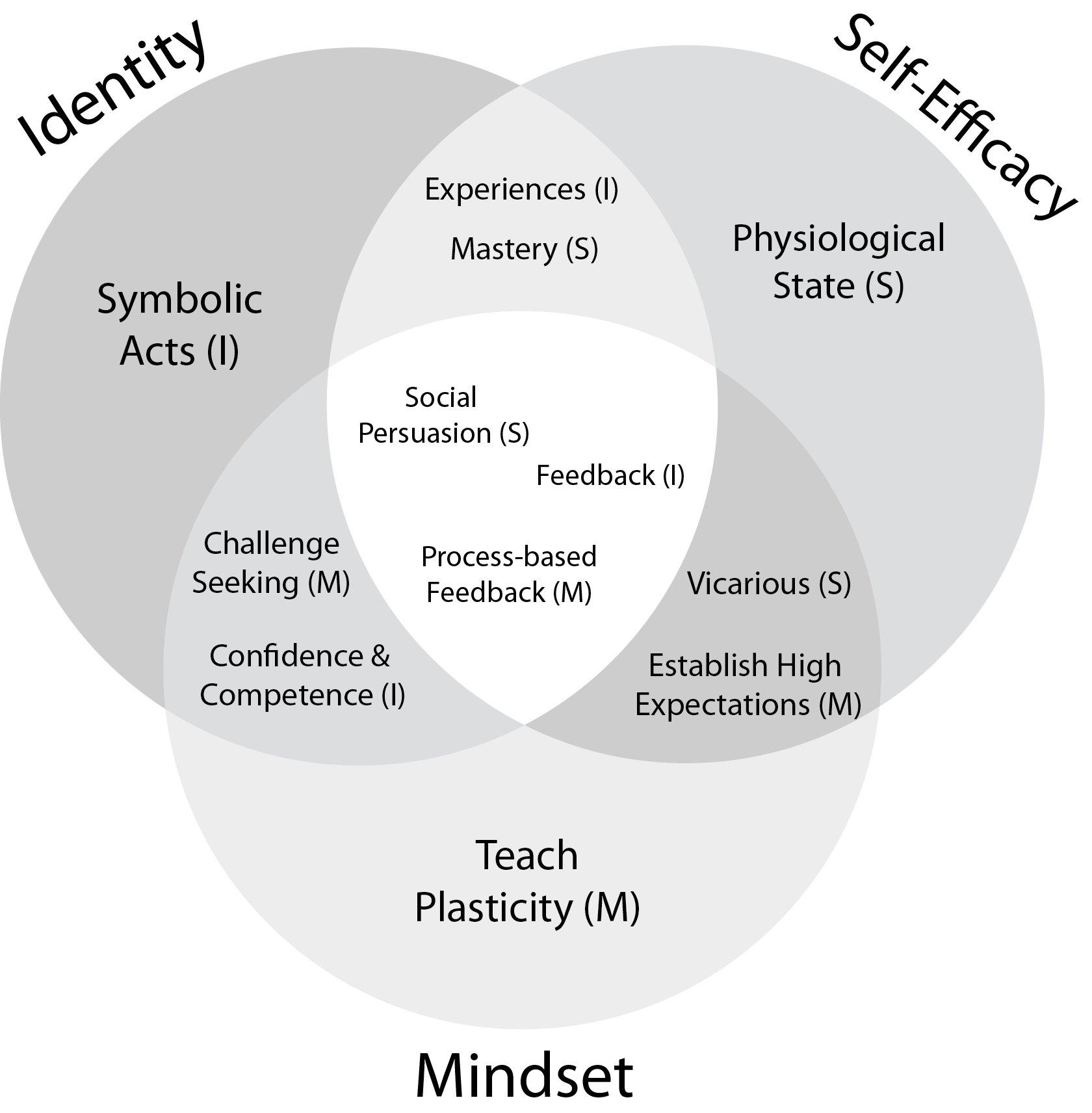 Venn diagram of the overlapping elements of the theories of identity, self-efficacy, and mindsets.