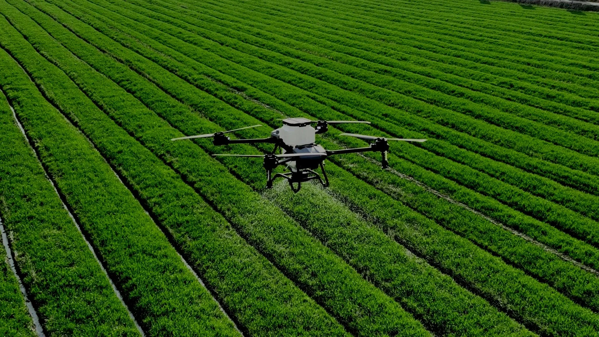 db_agdrone.jpg