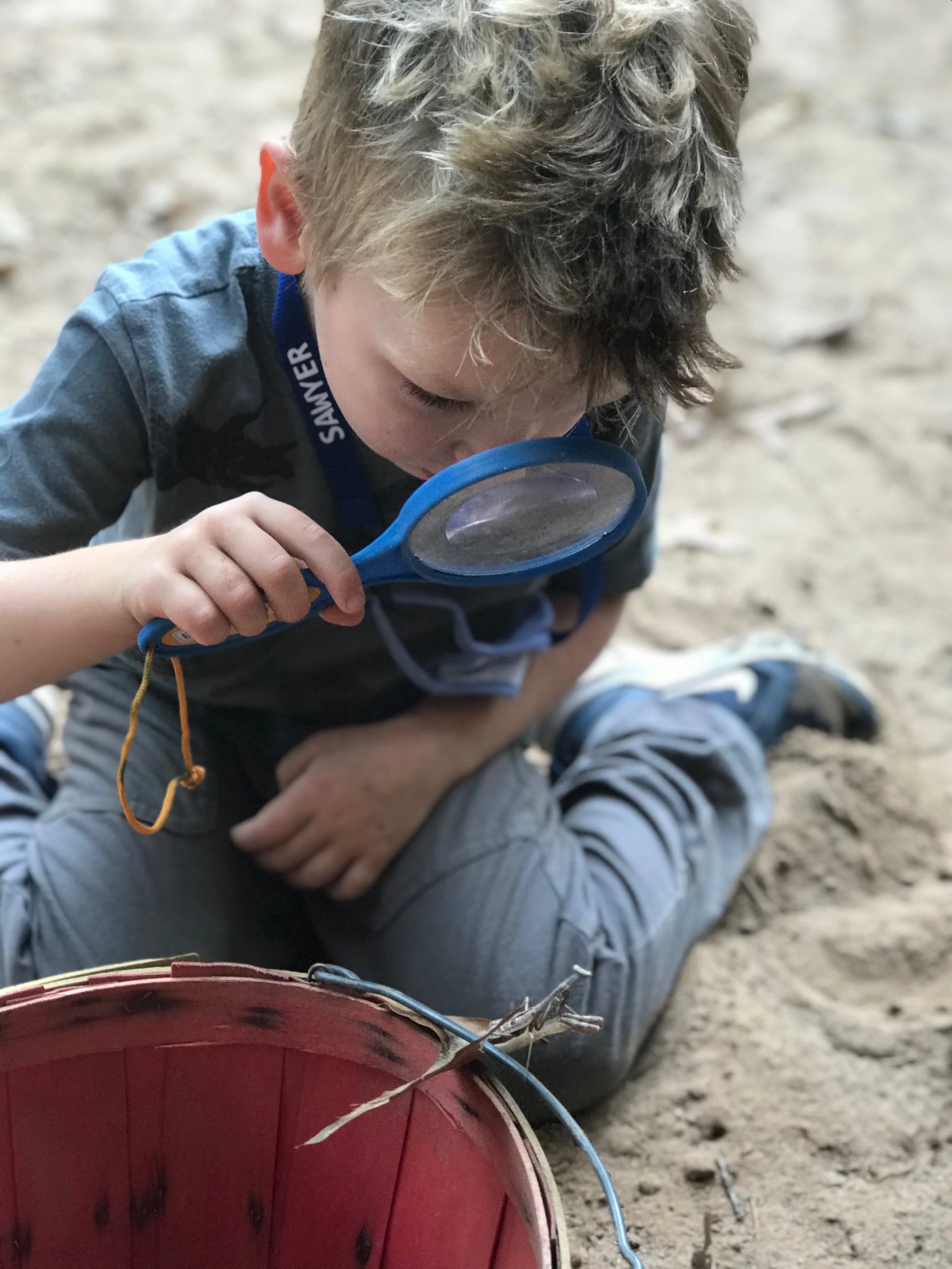 About Us — The Lindgren School & Camp