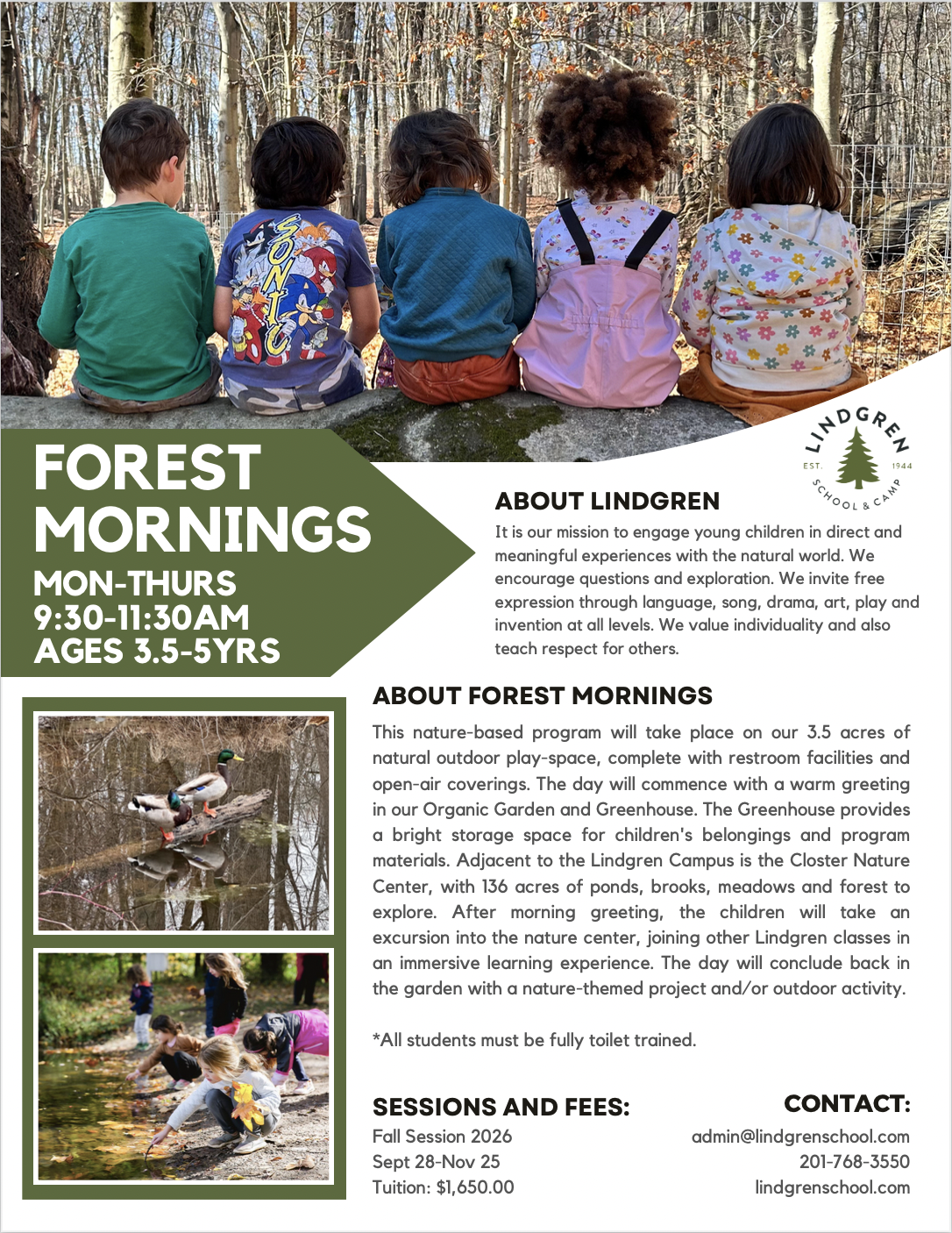 Forestmornings2026.png