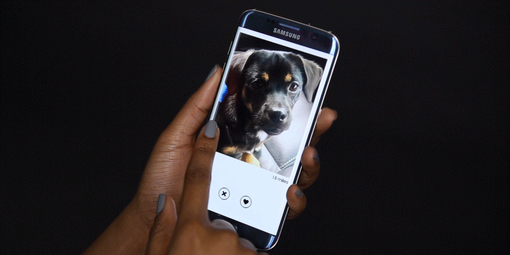NEW-Puppy-Tinder-PC-low-res (1)-1 (1).gif
