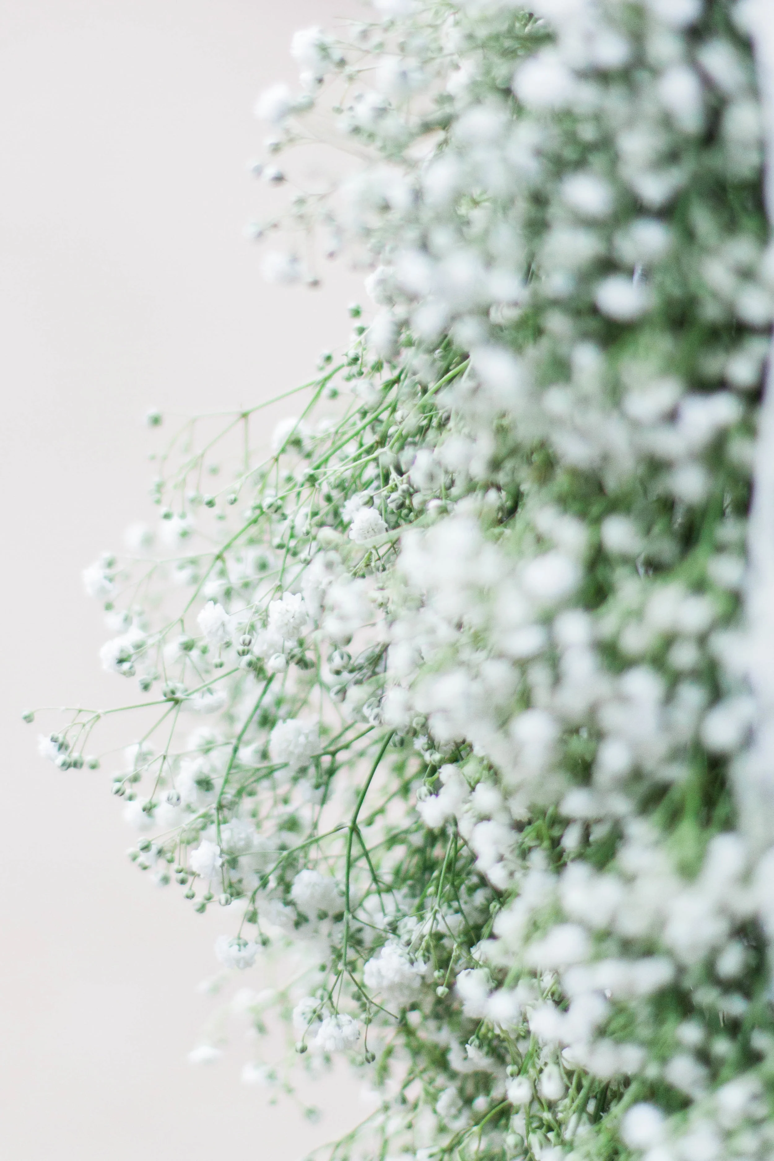 Floral_Dress-36.jpg