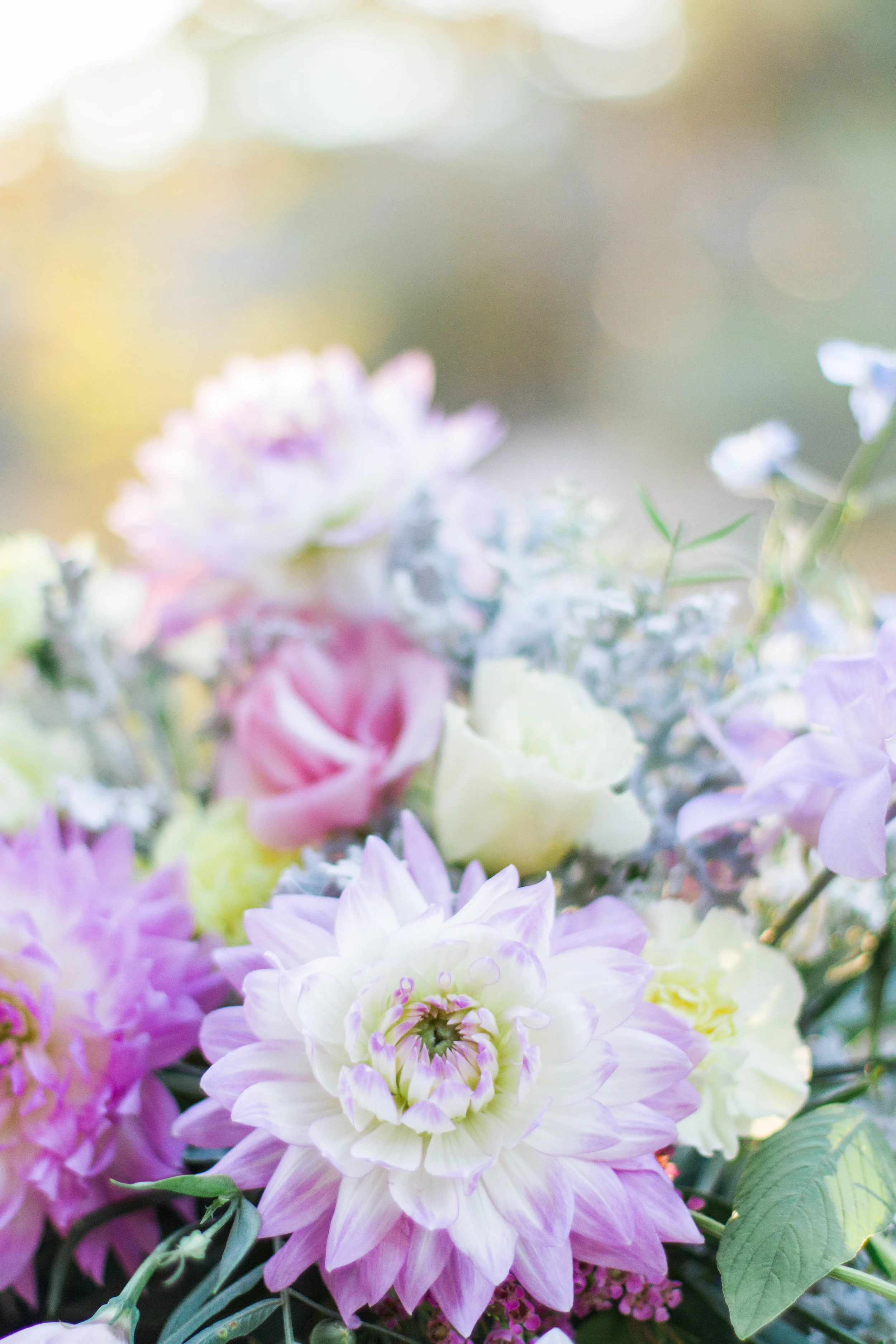 Floral_Dress-74.jpg