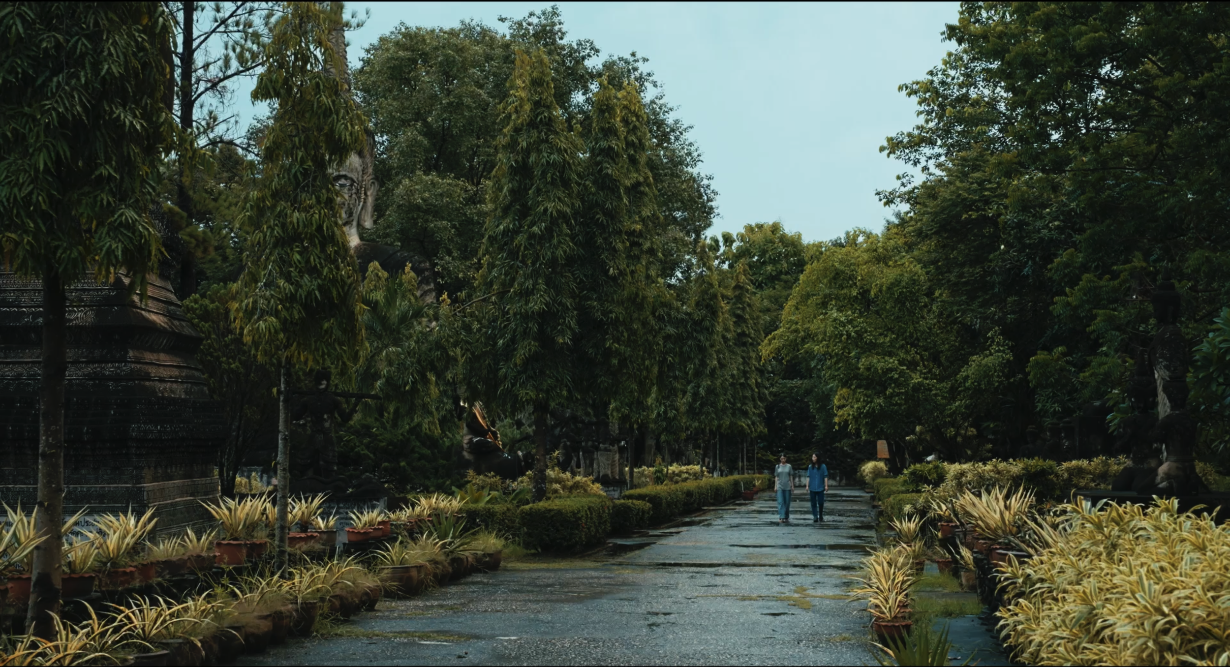 The Observer's Journal_Still_001.png