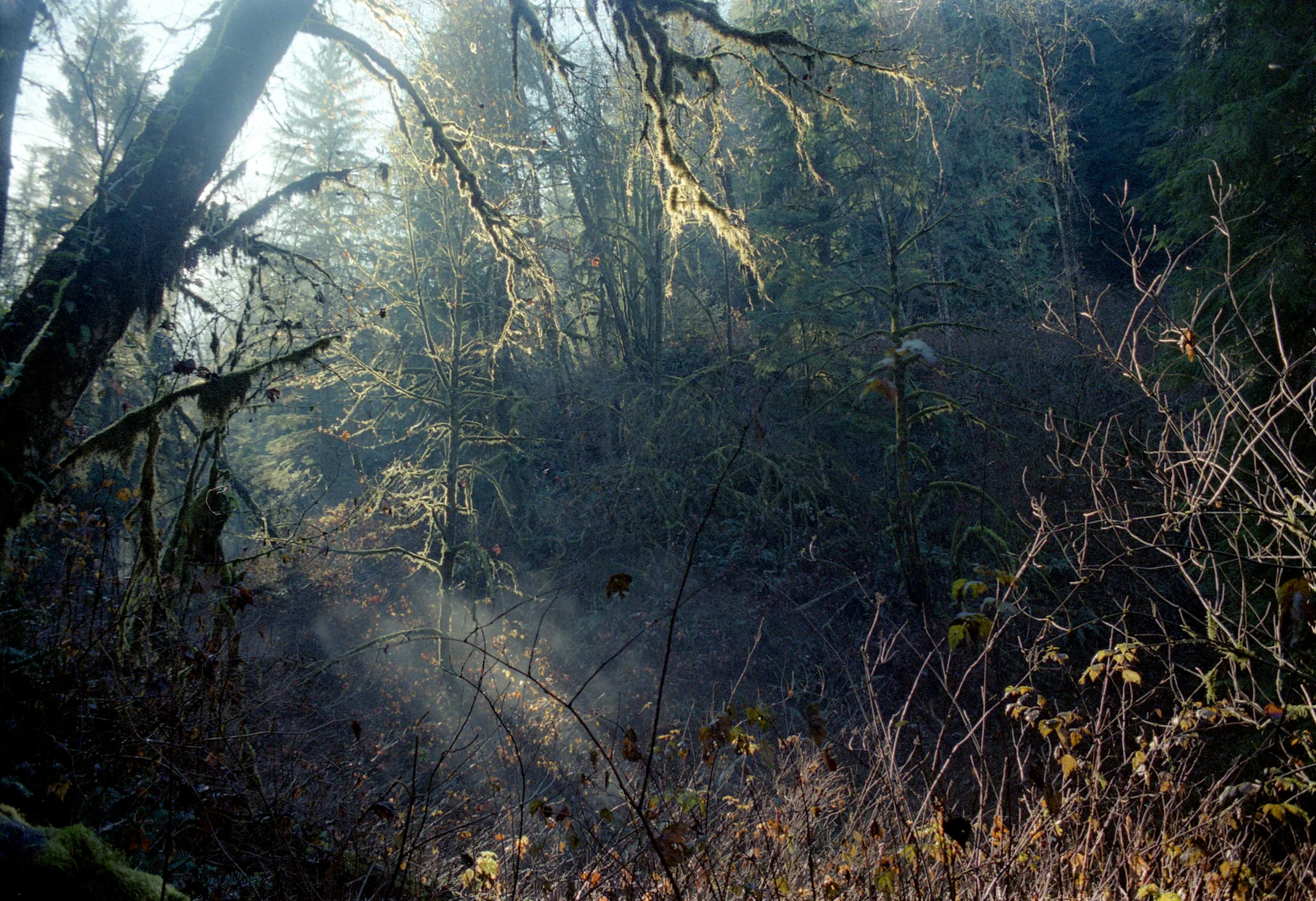 lecolton-19.jpg