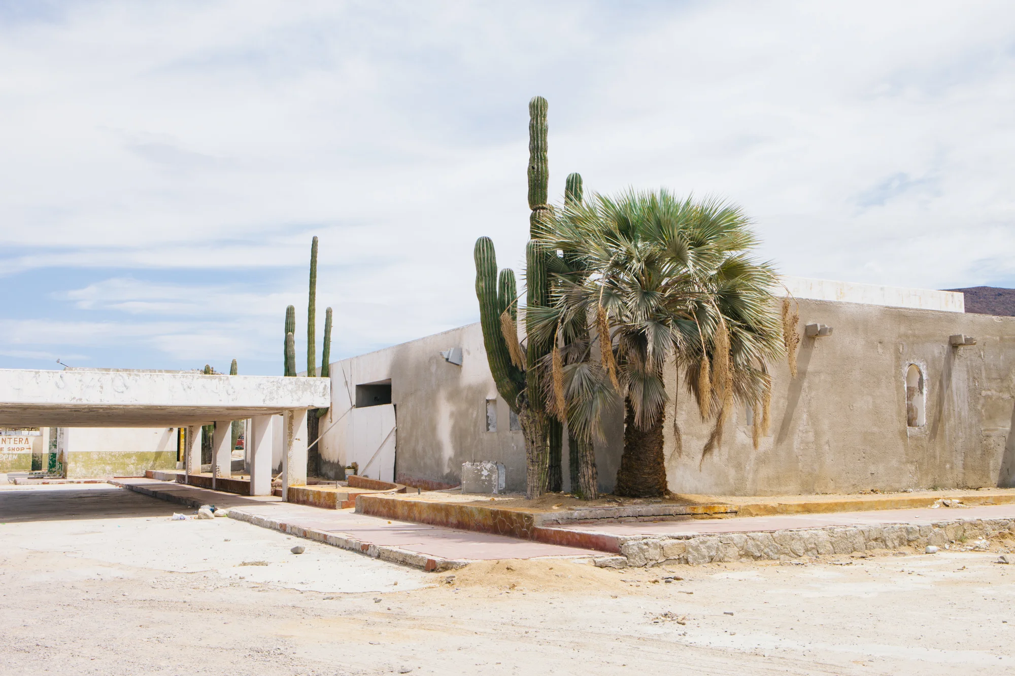 LC-9.jpg
