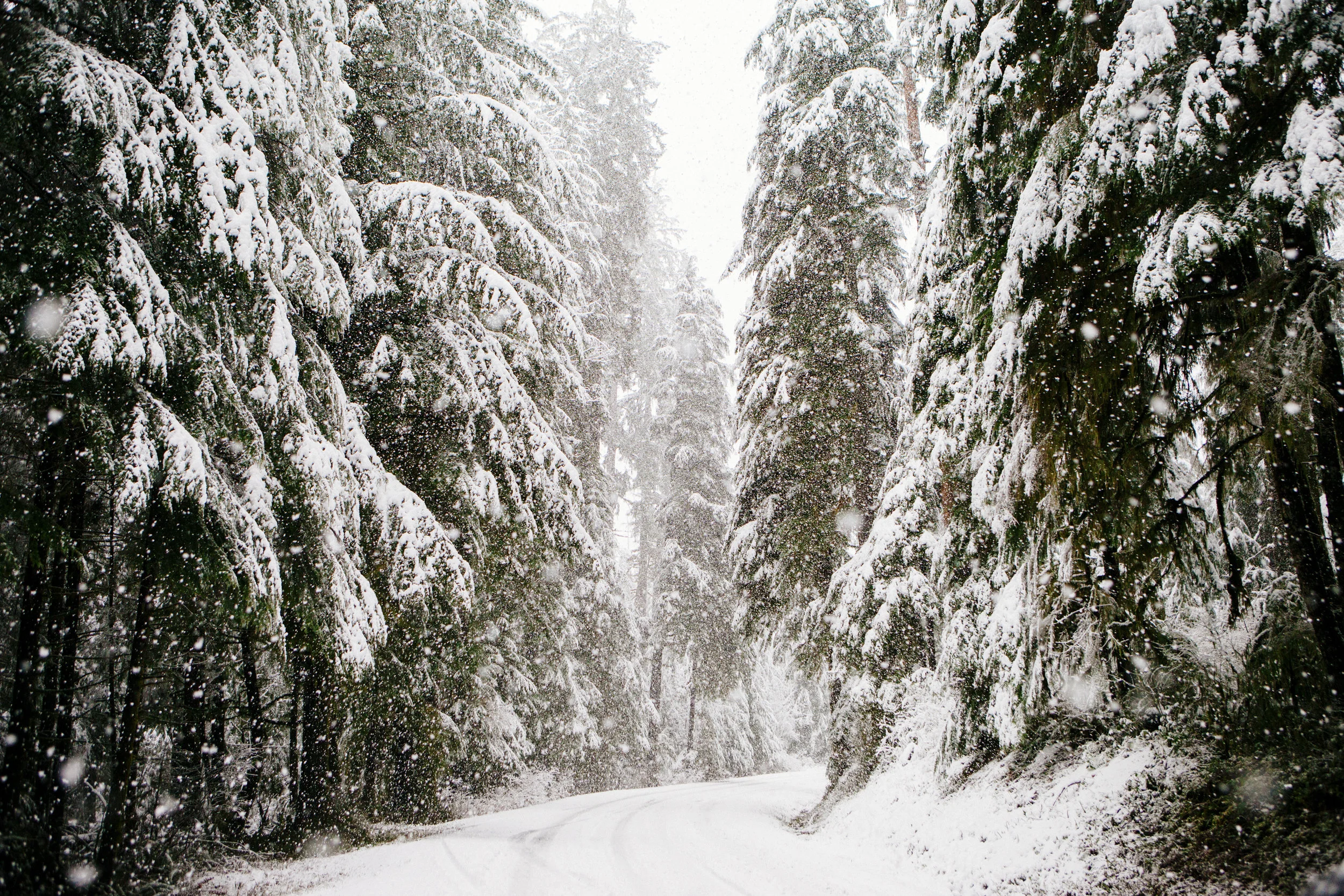 snow.jpg