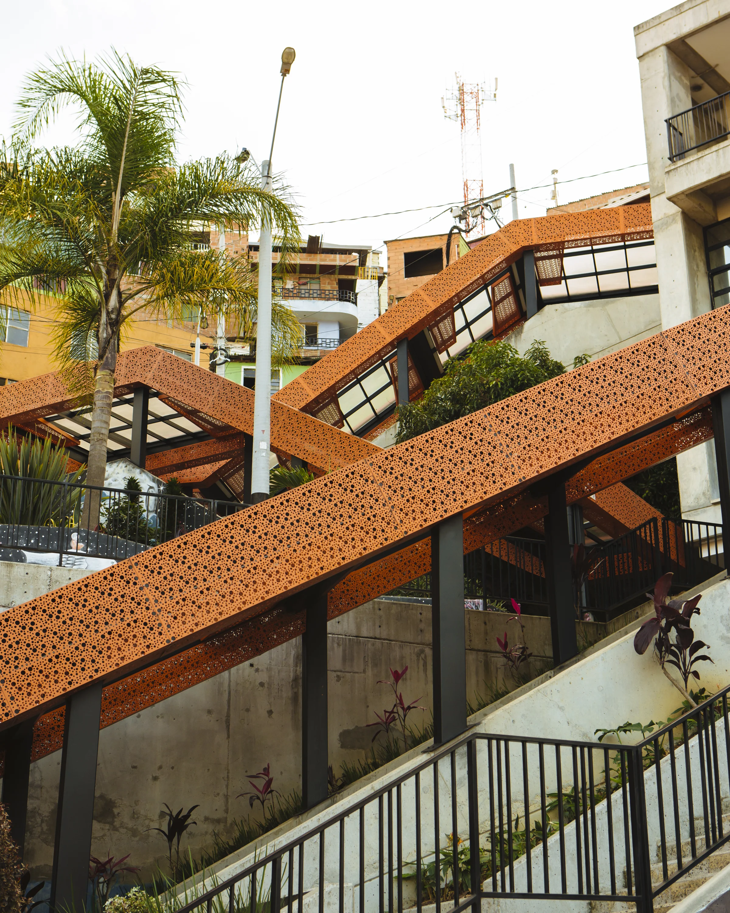 LaurenSegal_afar_medellin-24.jpg