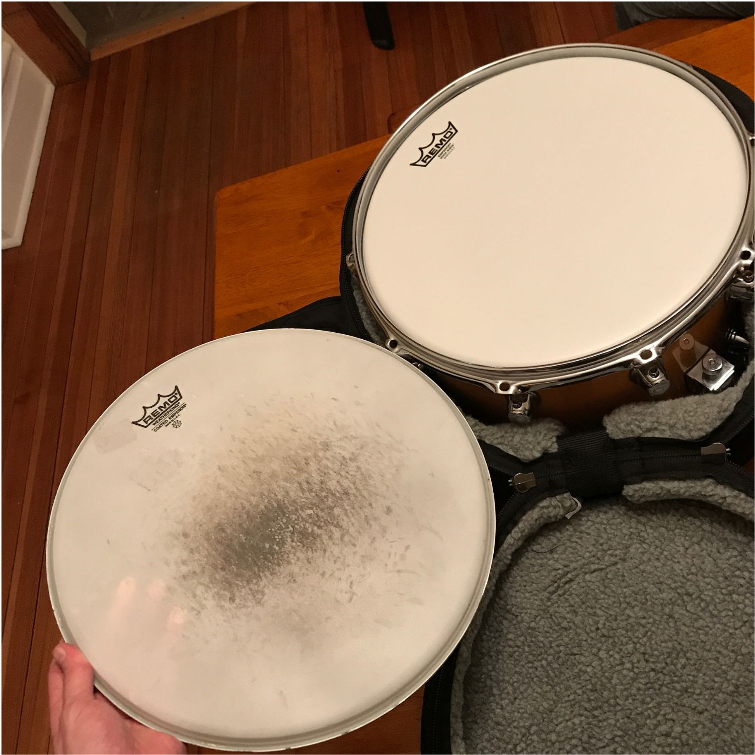 New and Old Remo Snare Heads