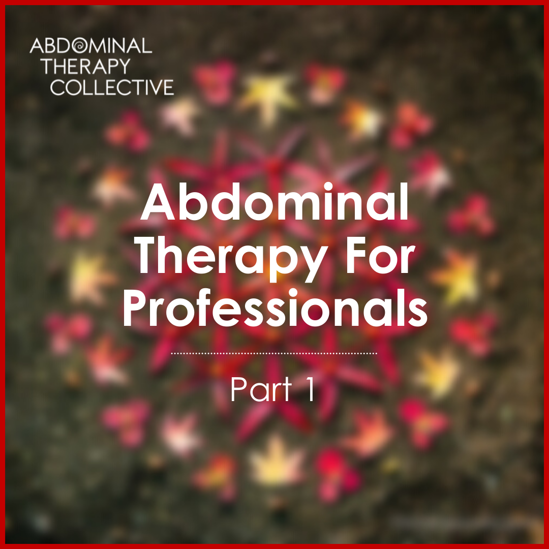 ATP1: Abdominal Therapy For Professionals: Part 1